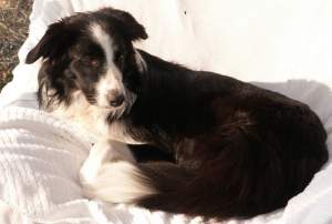 Moni auf Aussichtssessel