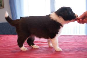 Antonia stehend im Alter von 4 Wochen