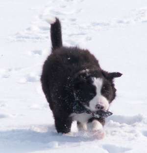 Adato 06.03.2005 Schneeausflug