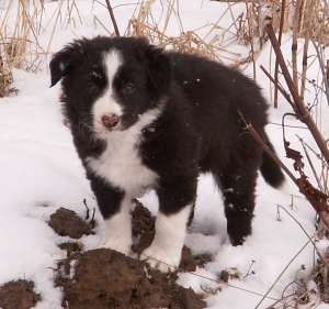 Schneeausflug 06.03.2005