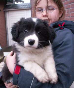 Antonia 7 'Wochen alt