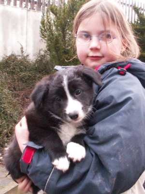 Amidala 7 Wochen alt