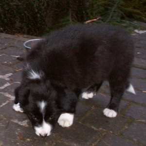 Ayleen auf Entdeckungstour