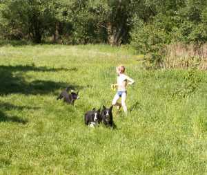 wilde Spiele, um wieder zu trocknen