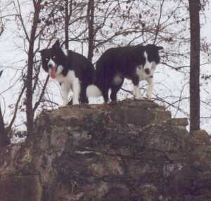 Klettern auf Hohentwiel