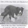 Glen im Bordercolliejahrbuch