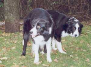 Jetzt könnten wir eigentlich was anderes machen...