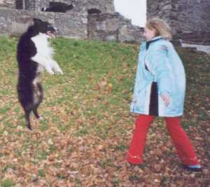 Lorena spielt mit Glen auf Hohentwiel