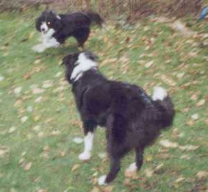 schön- wir spielen!