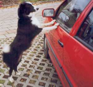 Hey, wer bist denn du, komm doch mal raus- du gefällst mir!