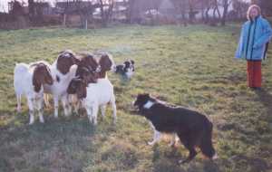 Wir sagen wo´s langgeht!