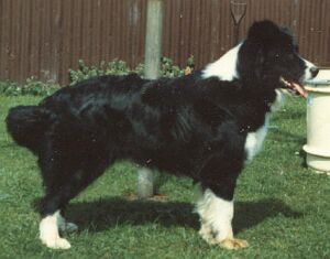 ballantrue missy jazztime