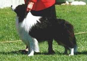 Lochinbrae of Clan-Abby