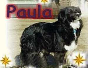 Number one vom Kuschelmuschel