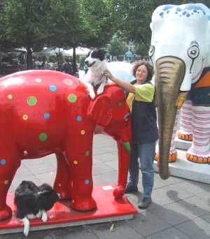 Kletterbungen mit Jim