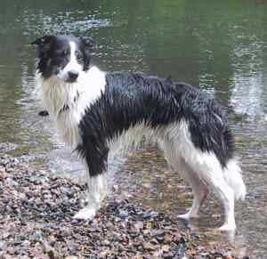 Jim beim Wasserausflug