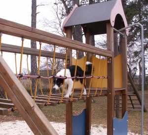 Schaut mal, wie toll ich das schon kann!